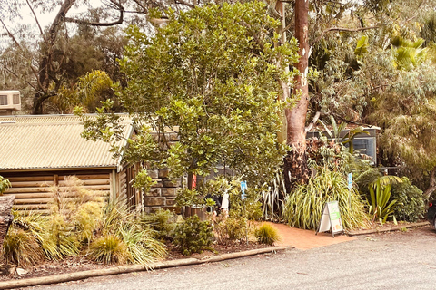 Vanuit Adelaide: Knuffel een Koala en historische Hahndorf Tour