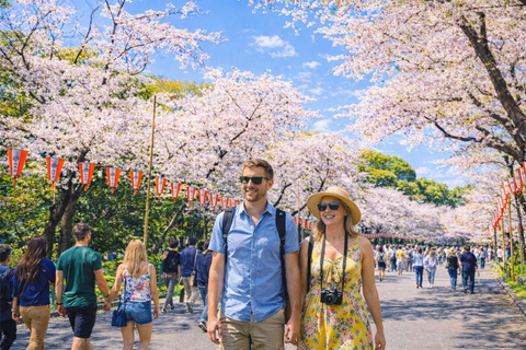 Tokyo Cherry Blossom Day Tour: Asakusa,Chidorigafuchi & Ueno 【Standard】English Guided Sightseeing Tour