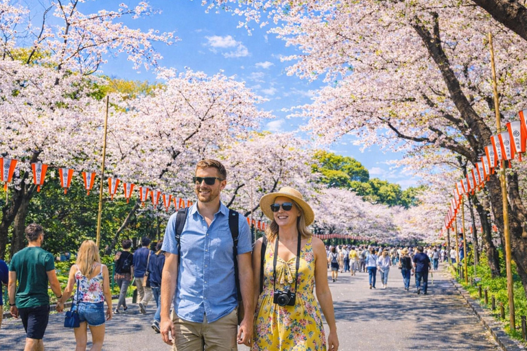 Tokyo Cherry Blossom Day Tour: Asakusa,Chidorigafuchi & Ueno 【Standard】English Guided Sightseeing Tour