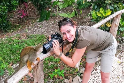 Punta Cana : demi-journée safari au MonkeylandVisite en allemand