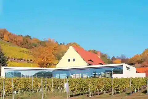 Meissen: Vinvandring i Spaargebirge inklusive 3 vinprovningar