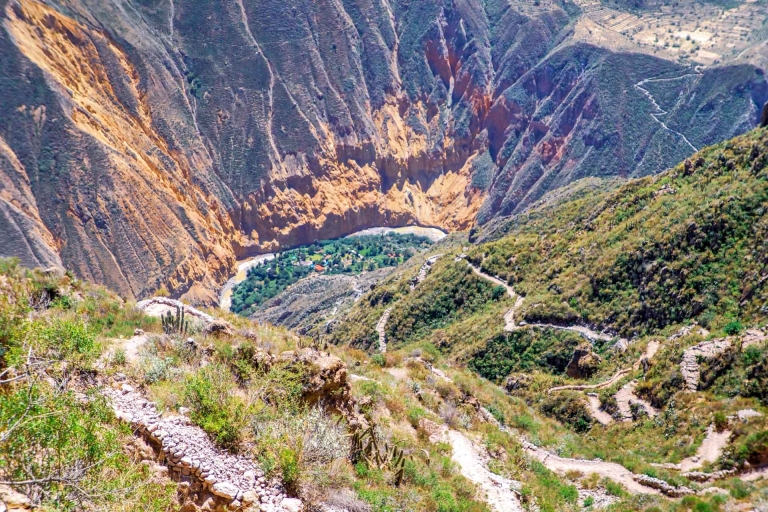 Von Arequipa: Trekking zum Colca Canyon |2Tage-1Nacht|