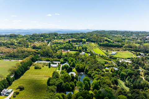 Brisbane: Hop on Hop off Bus to Tamborine Mountain