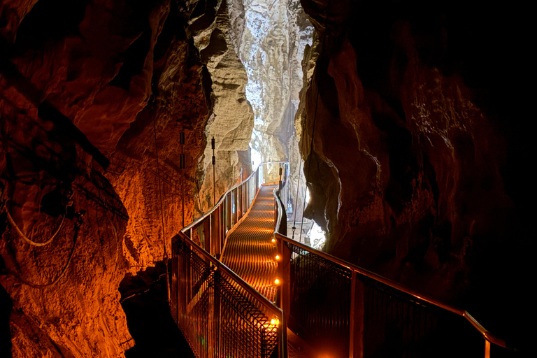 Private Day Tour: Waitomo Glowworms & Hobbiton Movie Set