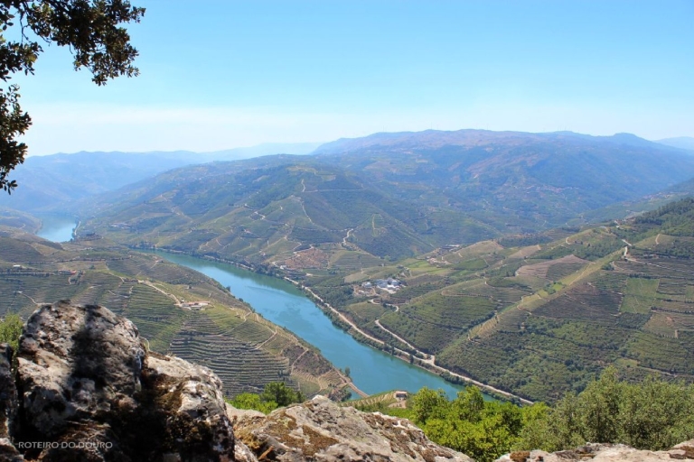 Private Douro Valley Premium Tour, Wine Cellar & Lunch Private Tour in English