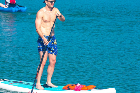 Miami: Alquiler de Paddle Board o Kayak - PADL Beach ClubMiami: Alquiler de Kayak Tándem - PADL Beach Club