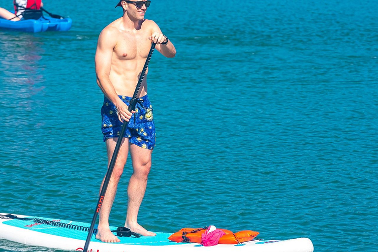 Miami: Alquiler de Paddle Board o Kayak - PADL Beach ClubMiami: Alquiler de Kayak Tándem - PADL Beach Club