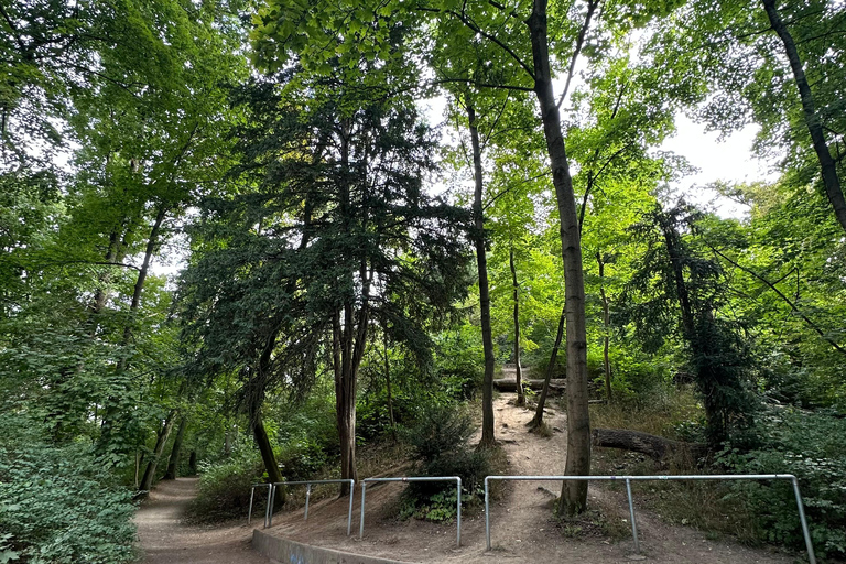 Leipzig: Rosental Park Forest Bathing and Qigong Session