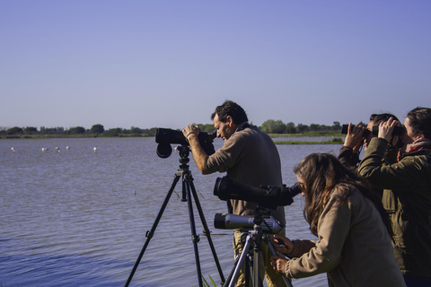From El Rocío: Doñana National Park 4x4 Tour with Guide