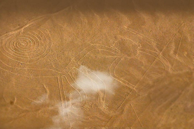 From Ica: Nazca Lines and Dune Buggy Tour (Huacachina) Group From Ica: Nazca Lines and Dune Buggy Tour (Huacachina)
