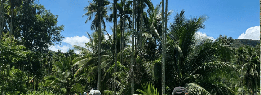 Wanning : une journée de randonnée dans la forêt tropicale de Riyue Bay