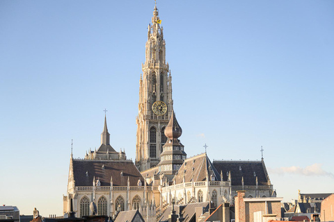 Explore the history of Antwerp with a local history teacher