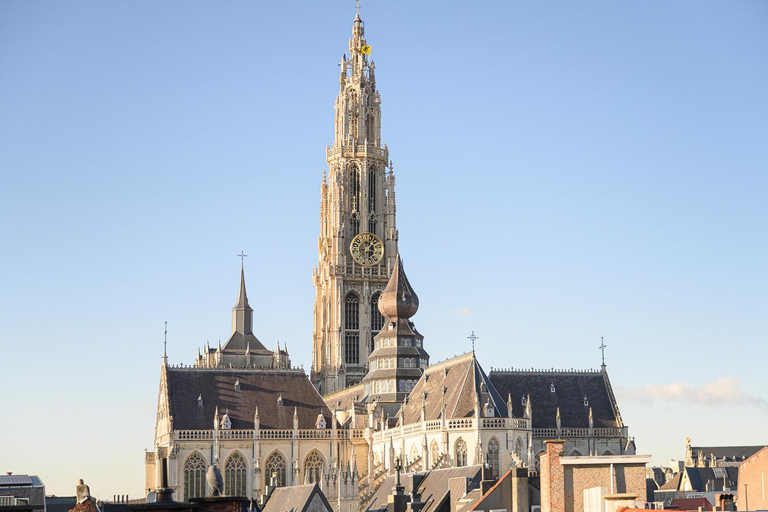 Explore the history of Antwerp with a local history teacher
