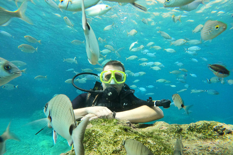 Antalya & Kemer: 2 Dives Scuba Diving Tour with Lunch Tour with transfer from Antalya
