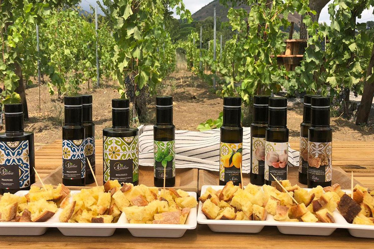 Mt. Etna: Morning 4x4 Tour with Volcanic Cave and Traditional Tasting