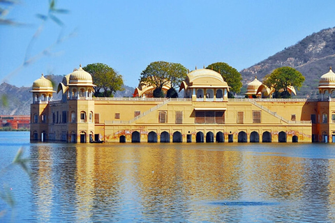 5-Day Jaipur, Jodhpur, Bikaner & Pushkar Tour from Delhi All-Inclusive tour