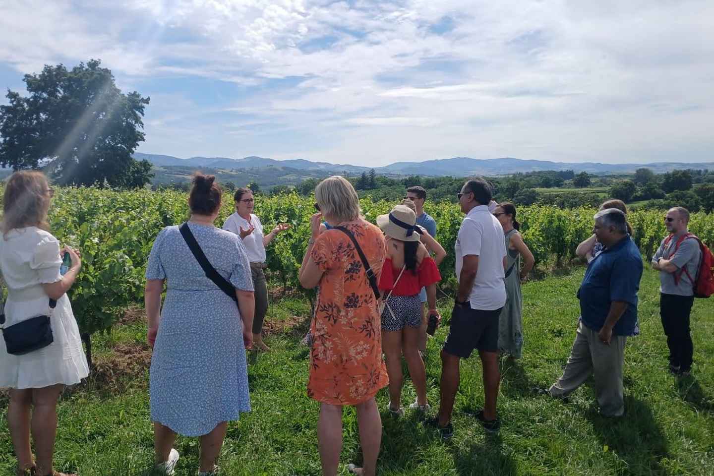 From Lyon: Golden Stones Beaujolais Wine Tasting Tour
