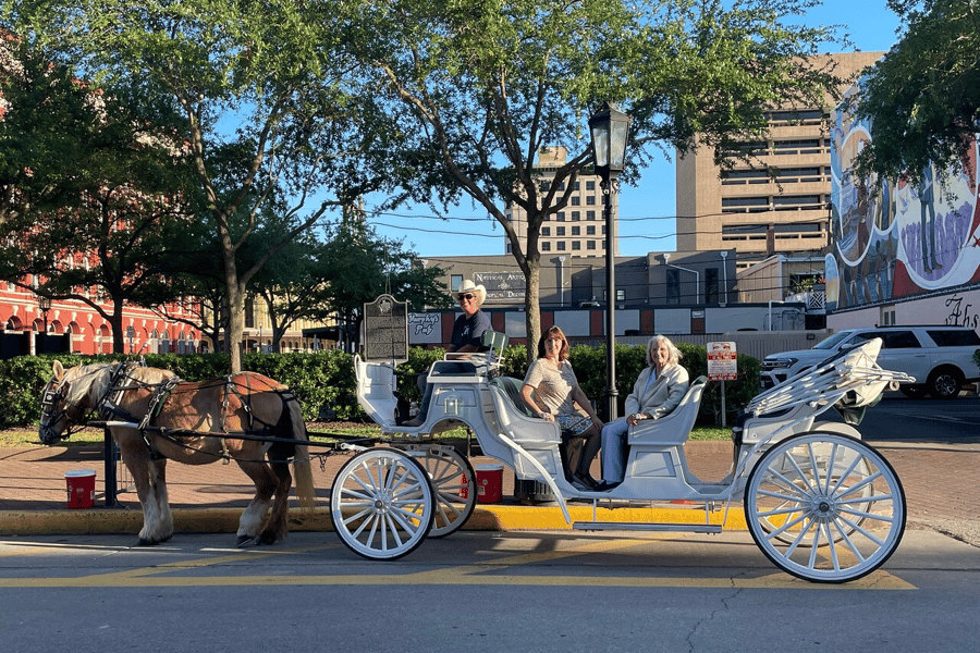 Galveston: Kutschenfahrt durch das historische Stadtzentrum. Foto: GetYourGuide