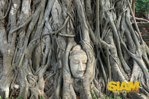 L&#039;incredibile tour degli antichi templi di Ayutthaya: Da BangkokGruppo privato con guida in inglese