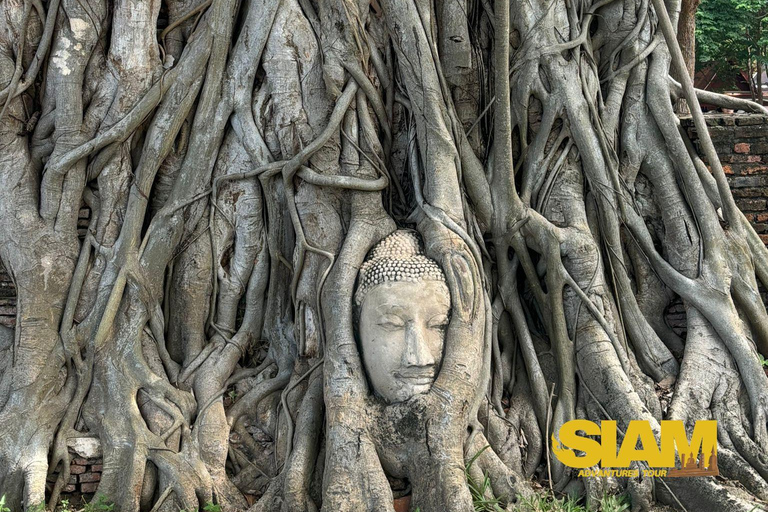 L&#039;incredibile tour degli antichi templi di Ayutthaya: Da BangkokGruppo privato con guida in inglese