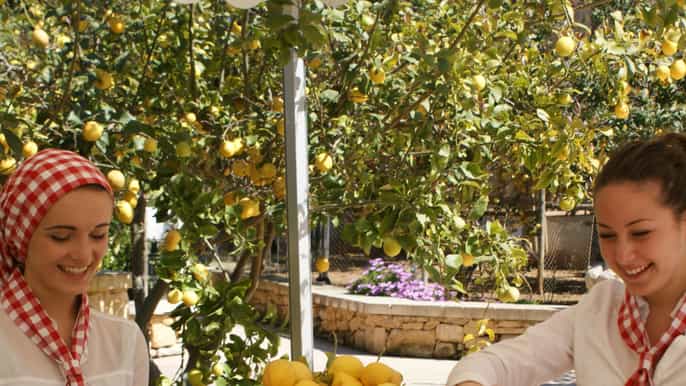 Malta: Limoncello Making Demonstration & Tasting Experience