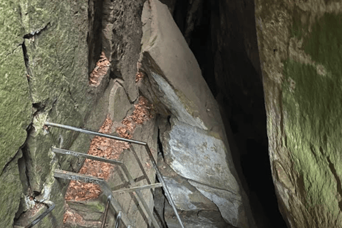 Mullerthal & Wolf's Gorge: Rock Walk with Clifftop Champagne