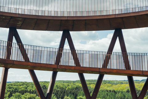 Copenhagen: Roskilde Viking Ship Museum & Cathedral Tour