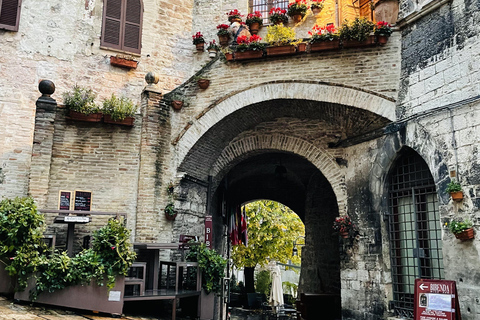 Assisi: Three Saints, St Carlo, Francis & Clare Walking Tour Spanish Tour