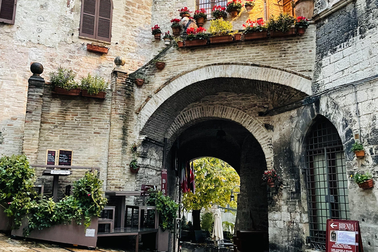 Assisi: Three Saints, St Carlo, Francis & Clare Walking Tour Spanish Tour