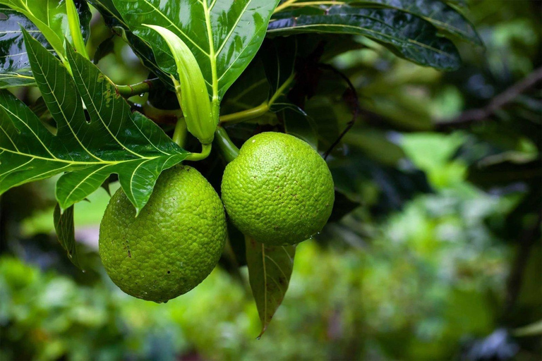 From Arusha: Zanzibar 2-Day Tour with Stone Town & Prison …