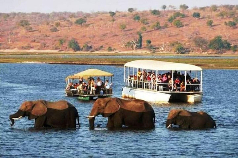 Victoria Falls: Chobe National Park Day Trip with Lunch