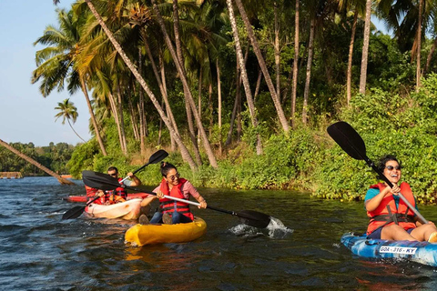 Back Water Kayaking in Baga Goa