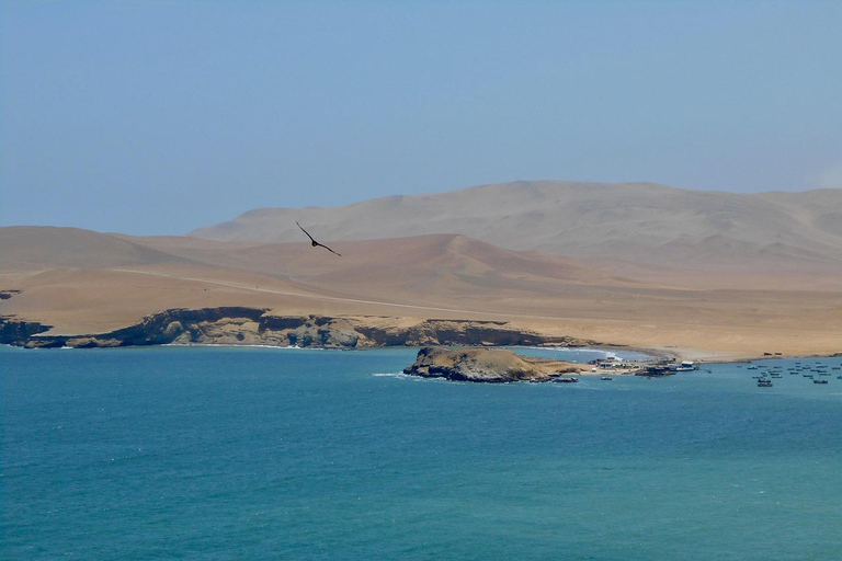 Paracas: Hike through the Paracas National Reserve