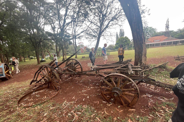 Nairobi: Elephant Orphanage, Giraffe Centre and Karen BlixenElephant Orphanage, Giraffe Centre and Karen Blixen