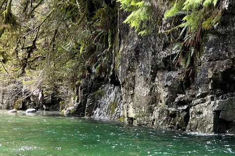 Vancouver: Regenwald-Wasserfall-Wanderung und Hängebrücke