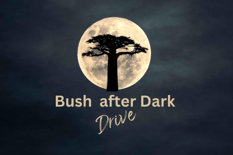 Victoria Falls: Erlebnis NachtfahrtBusch bei Nacht Fahrt