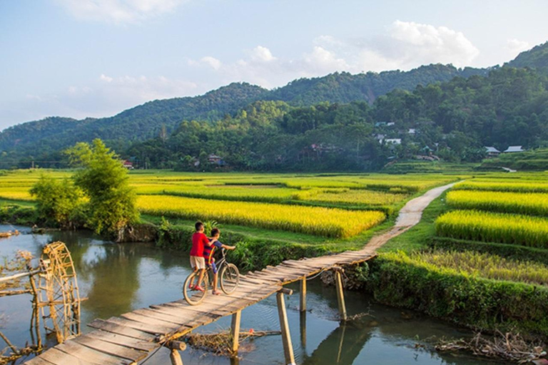 FROM HA NOI: EXPLORE PU LUONG DAY TRIP