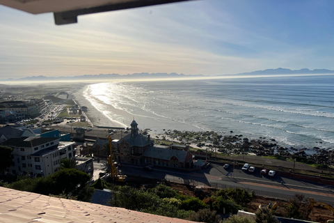 Cape of Good Hope and Penguins Full-Day Private Tour Private tour: Cape of Good Hope and Penguins Full-Day Tour