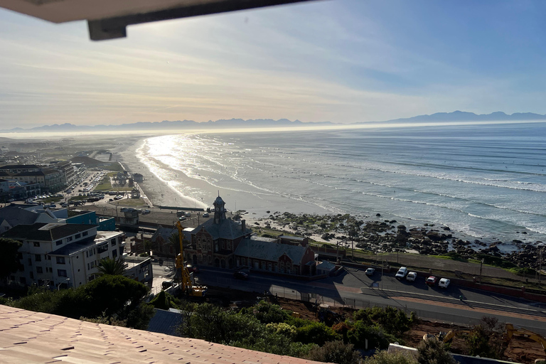 Cape of Good Hope and Penguins Full-Day Private Tour Private tour: Cape of Good Hope and Penguins Full-Day Tour