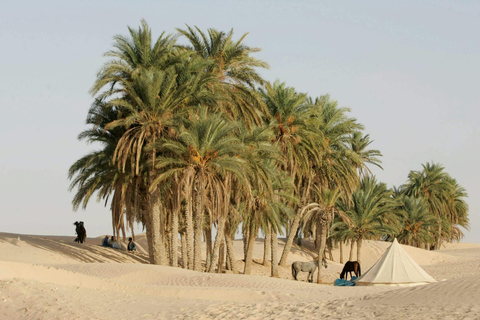 Tour notturno dei villaggi e delle oasi del Sahara tunisino