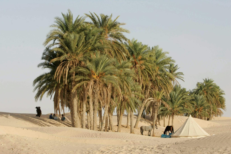 Excursão noturna aos vilarejos e oásis do Saara tunisiano