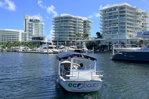 Fort Lauderdale: Small-Group Millionaire's Row Boat Tour Small-Group Scenic Boat Tour: Mansions, Canals & Highlights