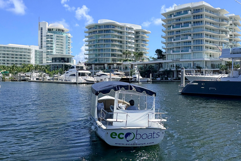 Fort Lauderdale: Small-Group Millionaire's Row Boat Tour Small-Group Scenic Boat Tour: Mansions, Canals & Highlights