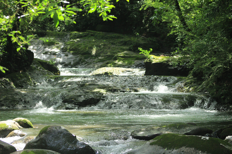 Boquete: Familjetur (Caldera Experiences)