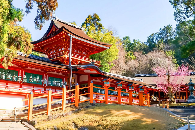 A Thousand Blossoms & Deer: Nara Spring Day Tour