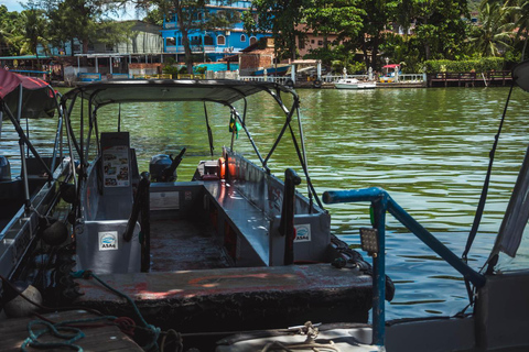 Rio de Janeiro: tour in barca della Laguna di Tijuca con fauna selvaticaRio de Janeiro: giro in barca sulla Laguna di Tijuca con fauna selvatica