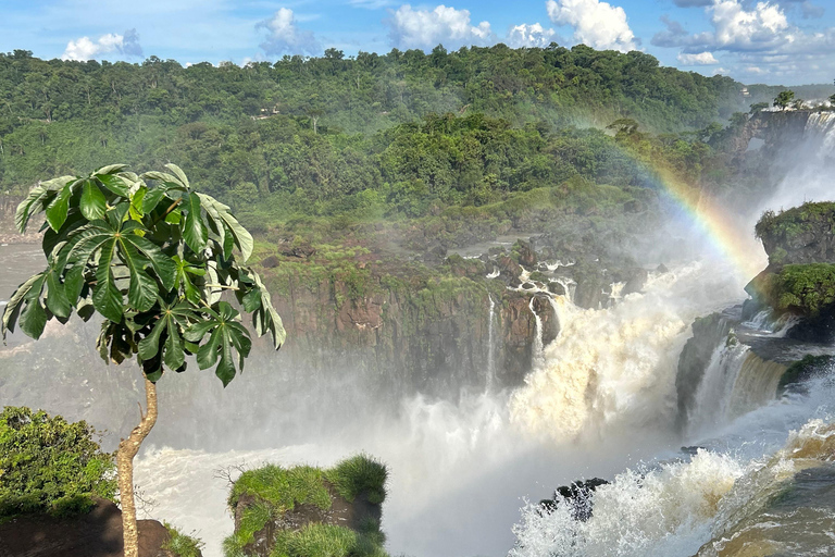 Visite privée des chutes d&#039;Iguaçu côté brésilien et argentin