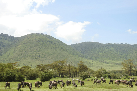 Unforgettable 3 Days Tanzania Safari Trip