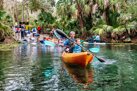 Orlando: Silver Springs Guided Kayak Tour with Shuttle