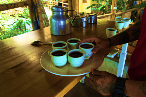 Minca: Canyoning & Rappel Tour with Jungle Joe